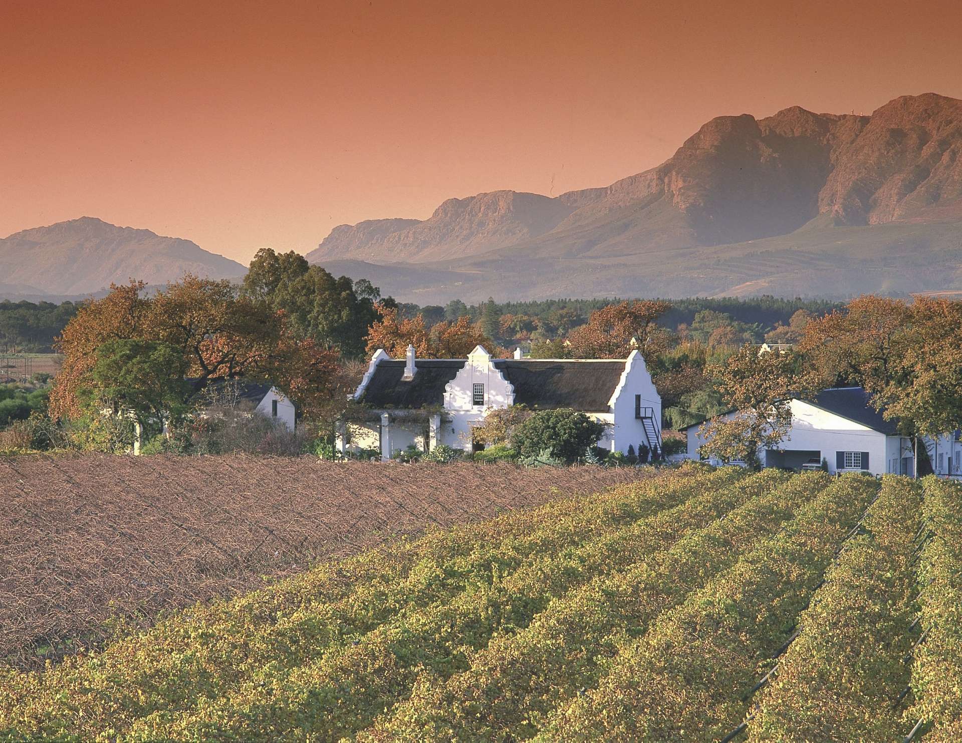 Südafrika – Weingut am Kap